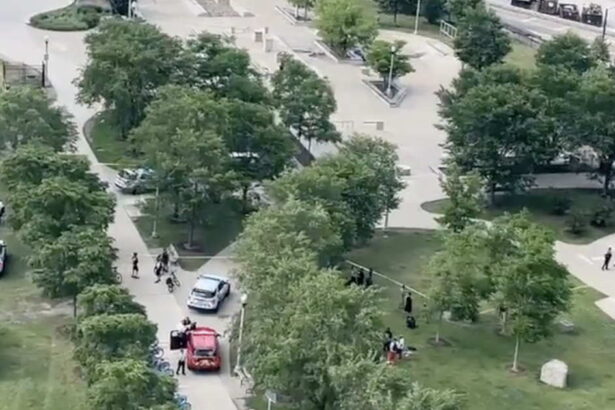2 stabbing victims disarmed assailant and attacked him with his own knife in Grant Park: police