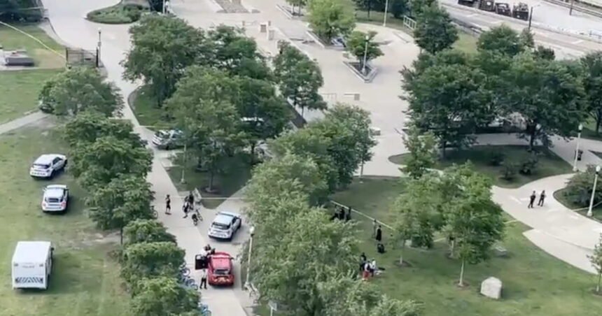 2 stabbing victims disarmed assailant and attacked him with his own knife in Grant Park: police