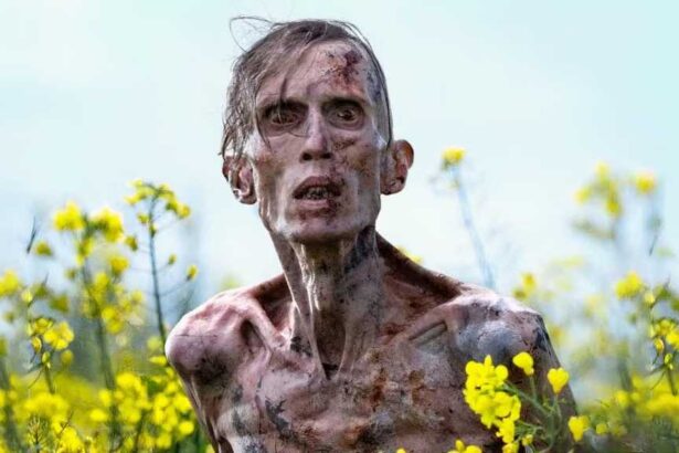 28 Years Later Streaming, VOD, DVD And Blu-ray Potential Release Dates