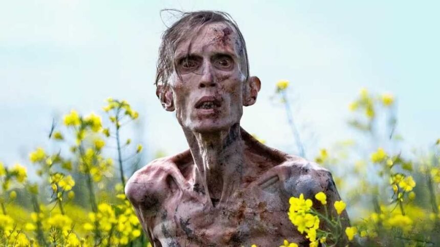 28 Years Later Streaming, VOD, DVD And Blu-ray Potential Release Dates