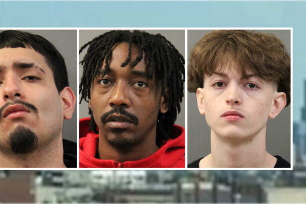 3 adults, 2 juveniles charged with robbing suburbanites admiring the city skyline