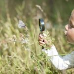 5 Ideas for Nature-Positive Summer Fun With Kids