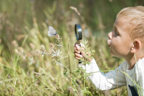 5 Ideas for Nature-Positive Summer Fun With Kids