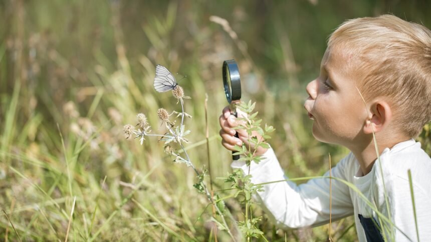 5 Ideas for Nature-Positive Summer Fun With Kids