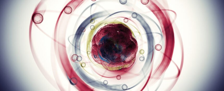 A Fifth Force of Nature May Have Been Discovered Inside Atoms : ScienceAlert