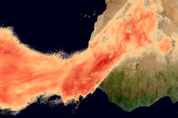 A Massive Cloud of Saharan Dust Is About to Hit The United States : ScienceAlert
