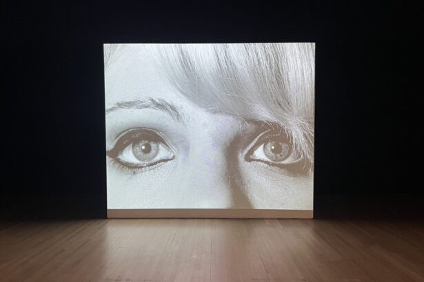 A Massive Diane Arbus Exhibition Does So Little