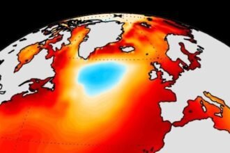 A Mysterious Blob of Cold Water Defies Ocean Heat – Now We Know Why : ScienceAlert