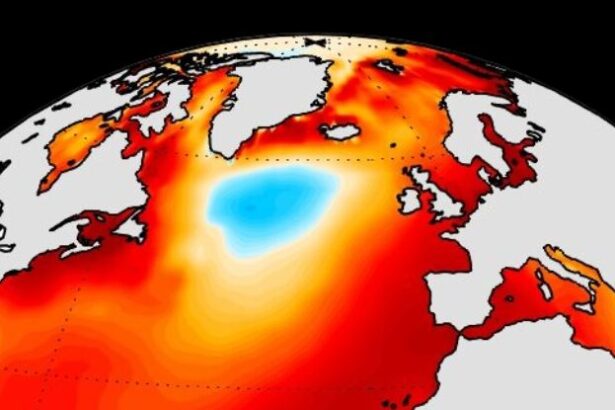 A Mysterious Blob of Cold Water Defies Ocean Heat – Now We Know Why : ScienceAlert