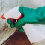 A Toxicologist Reveals The Surprising Truth About Black Mold : ScienceAlert