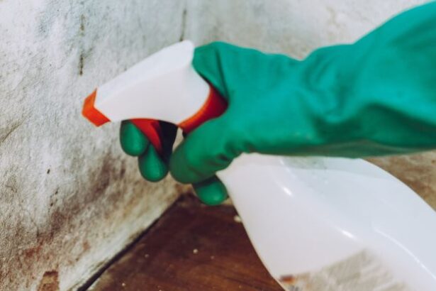 A Toxicologist Reveals The Surprising Truth About Black Mold : ScienceAlert