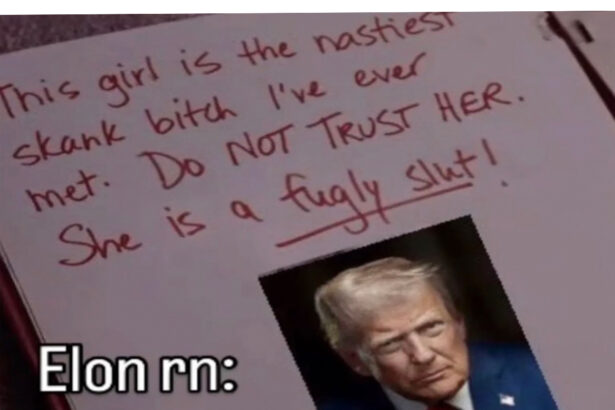 A Trump-Musk Feud That’s Ripe for the Meme-ing