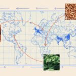A new app details where your food comes from — and just how fragile the global food system really is