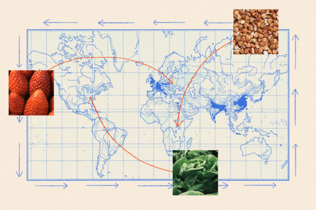 A new app details where your food comes from — and just how fragile the global food system really is