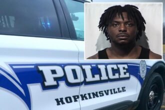 Alleged kidnap victim jumps from moving car to escape naked attacker who abused her at gunpoint: police