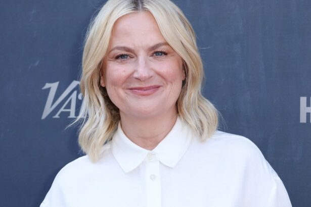 Amy Poehler Says All SNL Actors Did Problematic Sketches