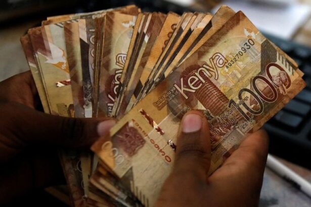 Analysis-Under shadow of Trump warning, Africa pioneers non-dollar payments systems