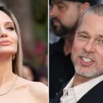 Angelina Jolie’s ‘Heartbreak Over Brad Pitt Kids Cull’