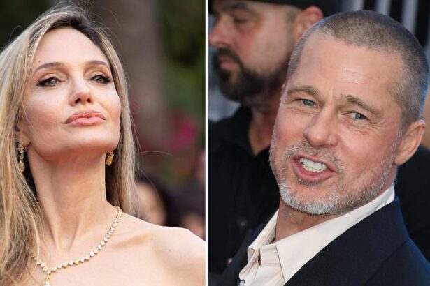 Angelina Jolie’s ‘Heartbreak Over Brad Pitt Kids Cull’