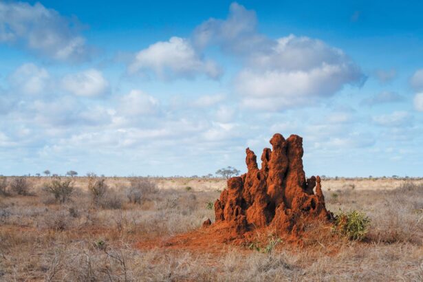 Animals Expend 76,000 Gigajoules of Energy Sculpting Our Planet Every Year