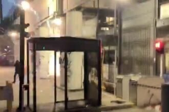 Anti-ICE Rioters Launch Explosives at Federal Building in Downtown Los Angeles (VIDEO) |