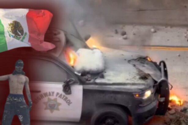 At Least Eleven LAPD and CHP Officers Injured, 42 Rioters Arrested During Sunday’s Anti-ICE Insurrection |