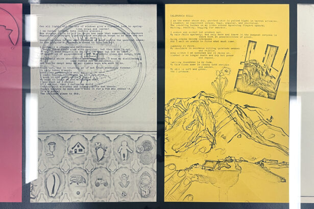 Barbara T. Smith’s Experiments in Xerox 