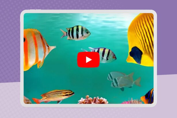 Best Relaxing Music for the Classroom