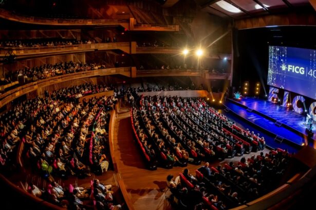 Big Attendance Numbers at the 40th Guadalajara Film Festival