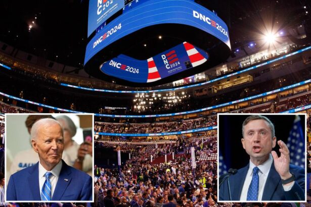 Billionaire Dem donors slam ‘ineffectual’ DNC, say they won’t fork over more cash for now