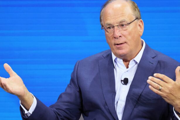 BlackRock’s smallest deal of 2024 may end up being its most consequential