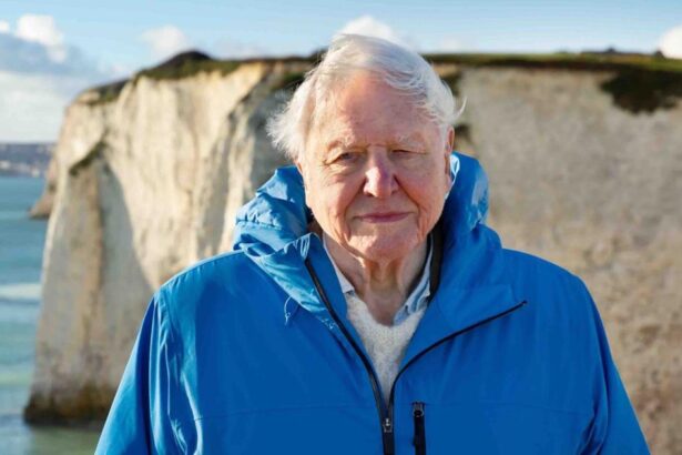 Bottom trawling like ‘bulldozing national parks’