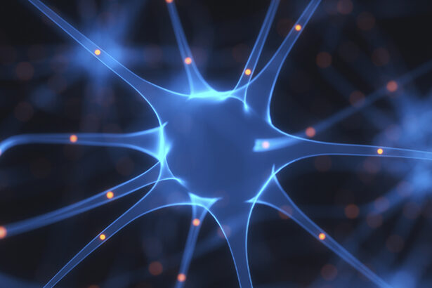 Brain Cell Discovery Could Change Weight-Loss Drugs : ScienceAlert