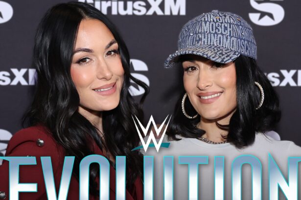 Brie Bella in Talks With WWE to Unretire, Join Nikki at ‘Evolution’