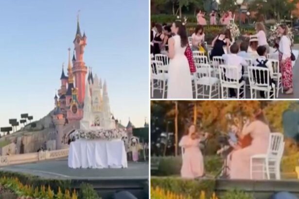British man charged over Disneyland ‘wedding’ with 9-year-old girl is a known pedophile wanted in UK: authorities