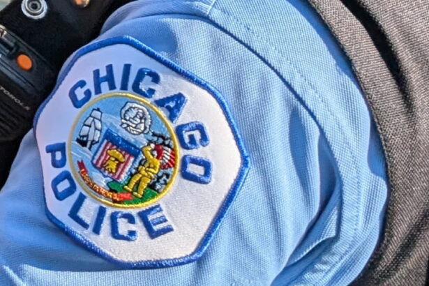 Burglar broke into 13 cars in the Loop overnight, police say