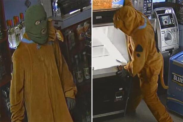 Burglar in Scooby-Doo costume breaks into convenience store