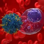 CAR T-cell therapy could be made in the body of someone with cancer