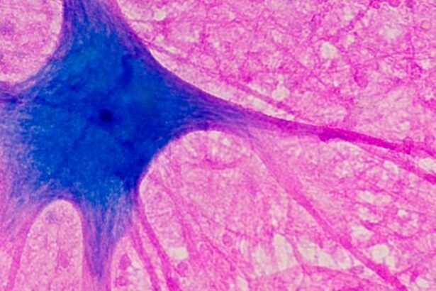 Can This Blue Chemical Really Boost Your Brain? Here’s What We Know. : ScienceAlert