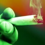 Cannabis Linked to 2x Risk of Heart Disease Death, Scientists Discover : ScienceAlert