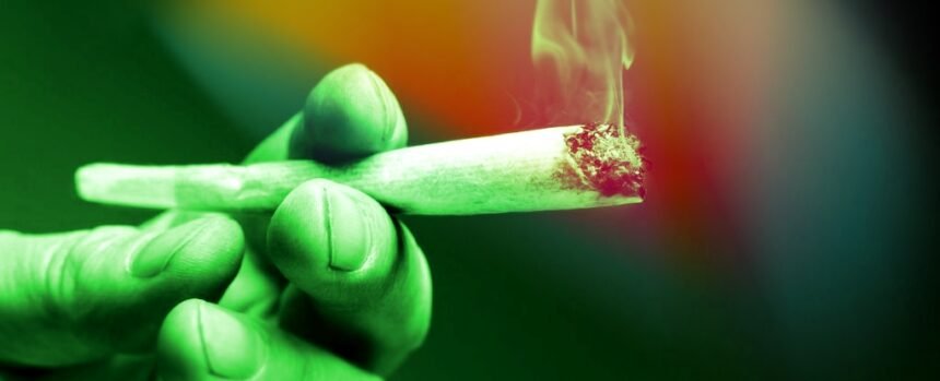 Cannabis Linked to 2x Risk of Heart Disease Death, Scientists Discover : ScienceAlert