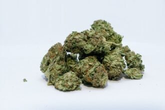 Cannabis use reaches a new high among older adults