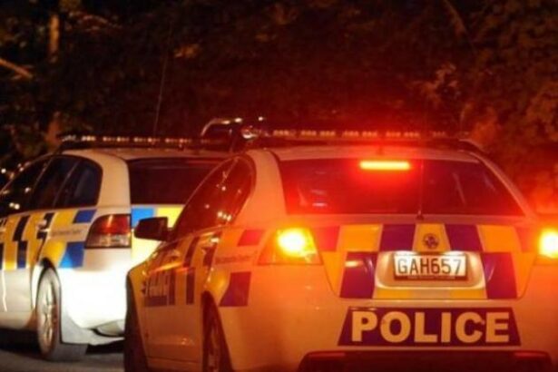 Car crashes into water at Andersons Bay inlet