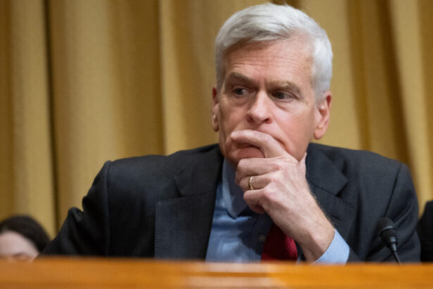 Cassidy calls for delay to CDC’s vaccine panel after RFK Jr.’s purge