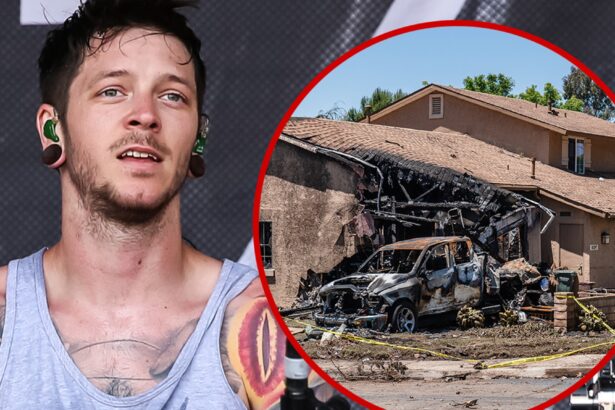 Cause of Plane Crash That Killed Devil Wears Prada Drummer Revealed