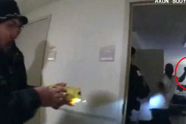 Chicago police sergeant is nearly killed by knife-wielding man before back-up officers shoot the assailant dead (videos)