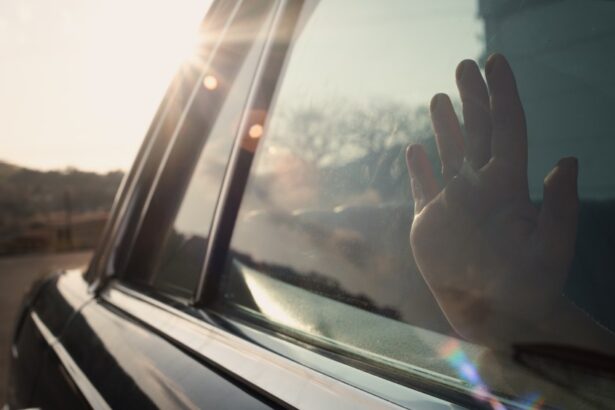 Chile’s Paulina Garcia Stars in Neto Villalobos ‘Love is the Monster’