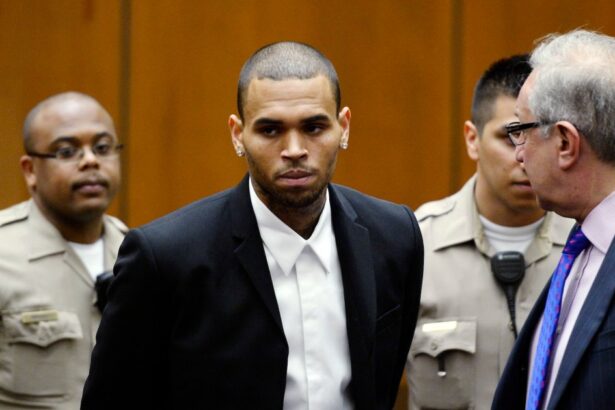 Chris Brown’s Legal Troubles, Accusations and Arrests: A Timeline