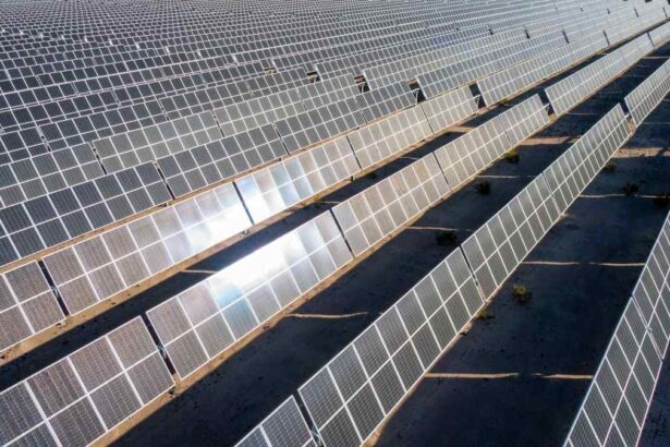 Meta bought 1 GW of solar this week