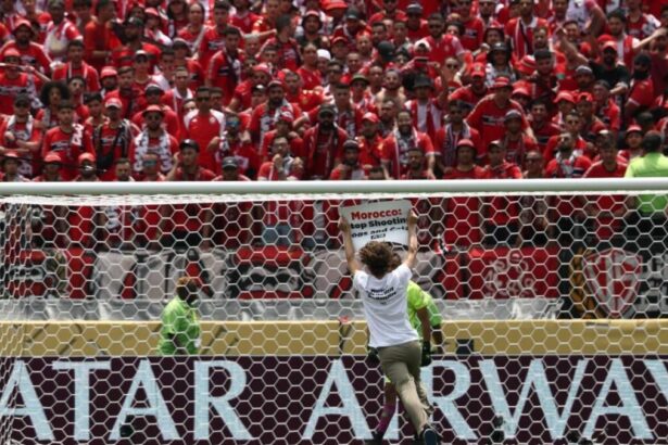 Club World Cup match interrupted by animal-rights activists targeting Morocco’s treatment of stray animals